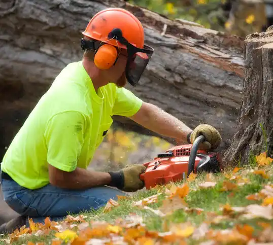 tree services North Kansas City